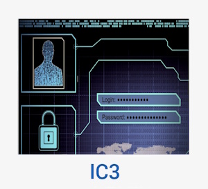 IC3 Flyer