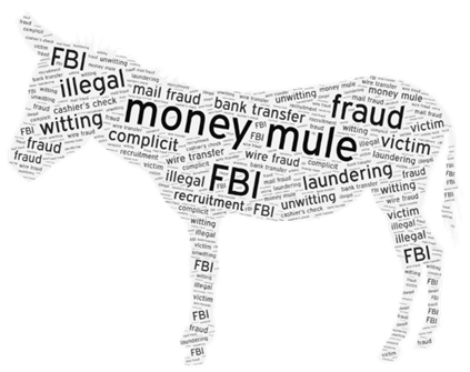 Decorative money mule word cloud